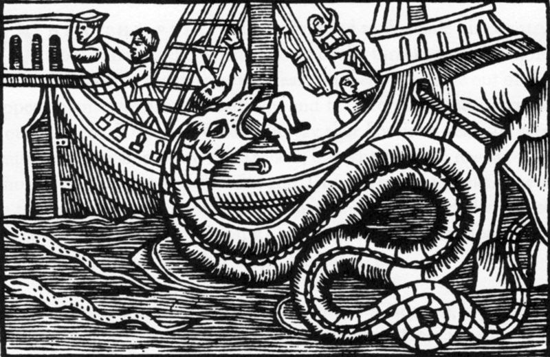 Seaserpent, from Olaus Magus (1555)